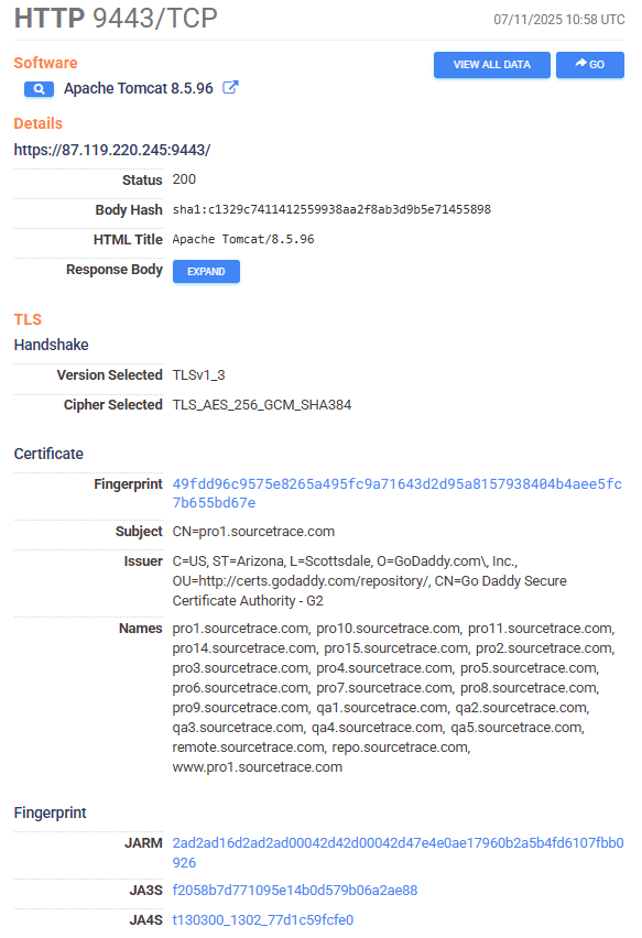 HTTPS service and TLS certificate details